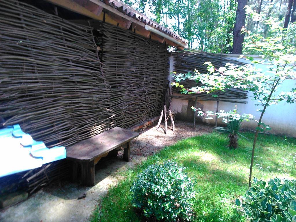 Kolkhida Resort & Spa Ureki Luaran gambar