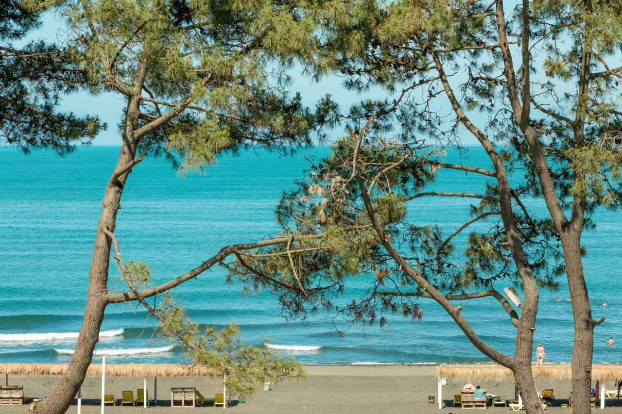 Kolkhida Resort & Spa Ureki Luaran gambar