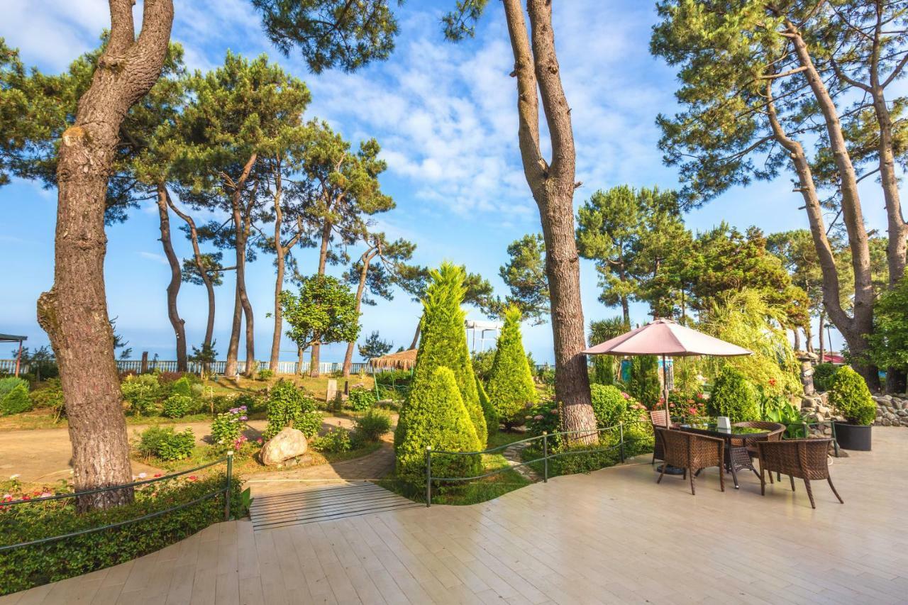 Kolkhida Resort & Spa Ureki Luaran gambar